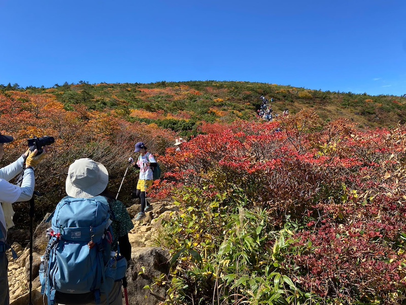 振り返って紅葉